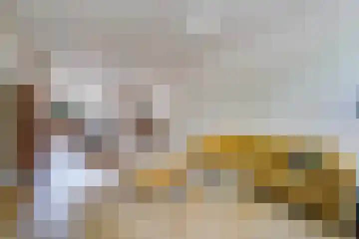Regentesselaan 177 Den Haag thumbnail 8