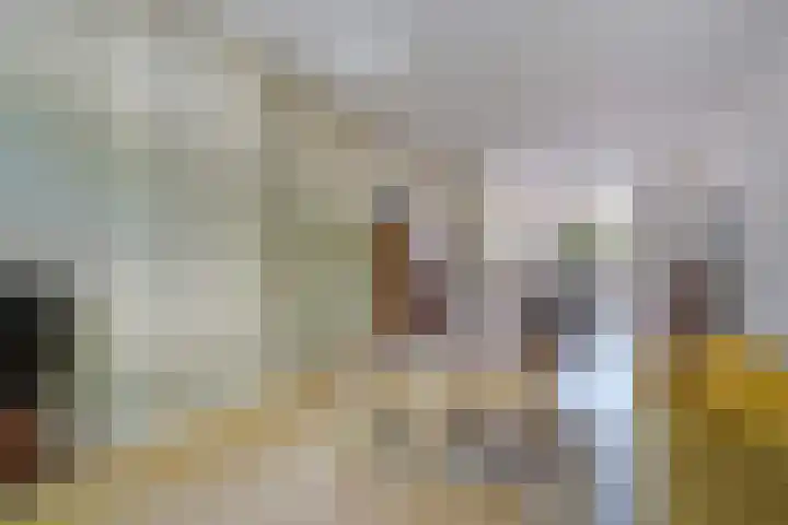Regentesselaan 177 Den Haag thumbnail 9