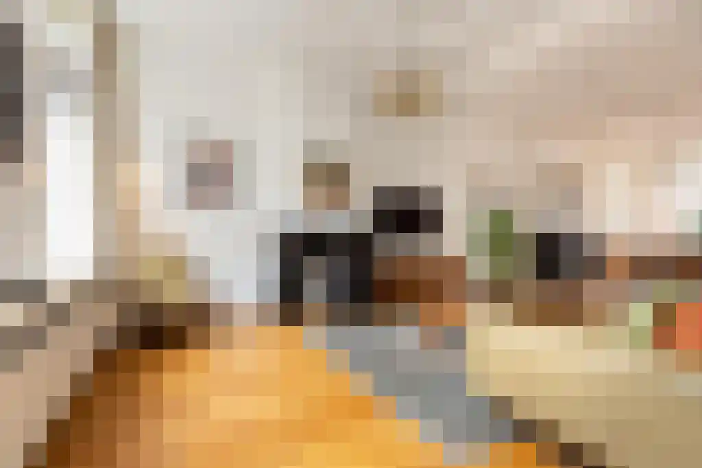 Regentesselaan 179 Den Haag thumbnail 19