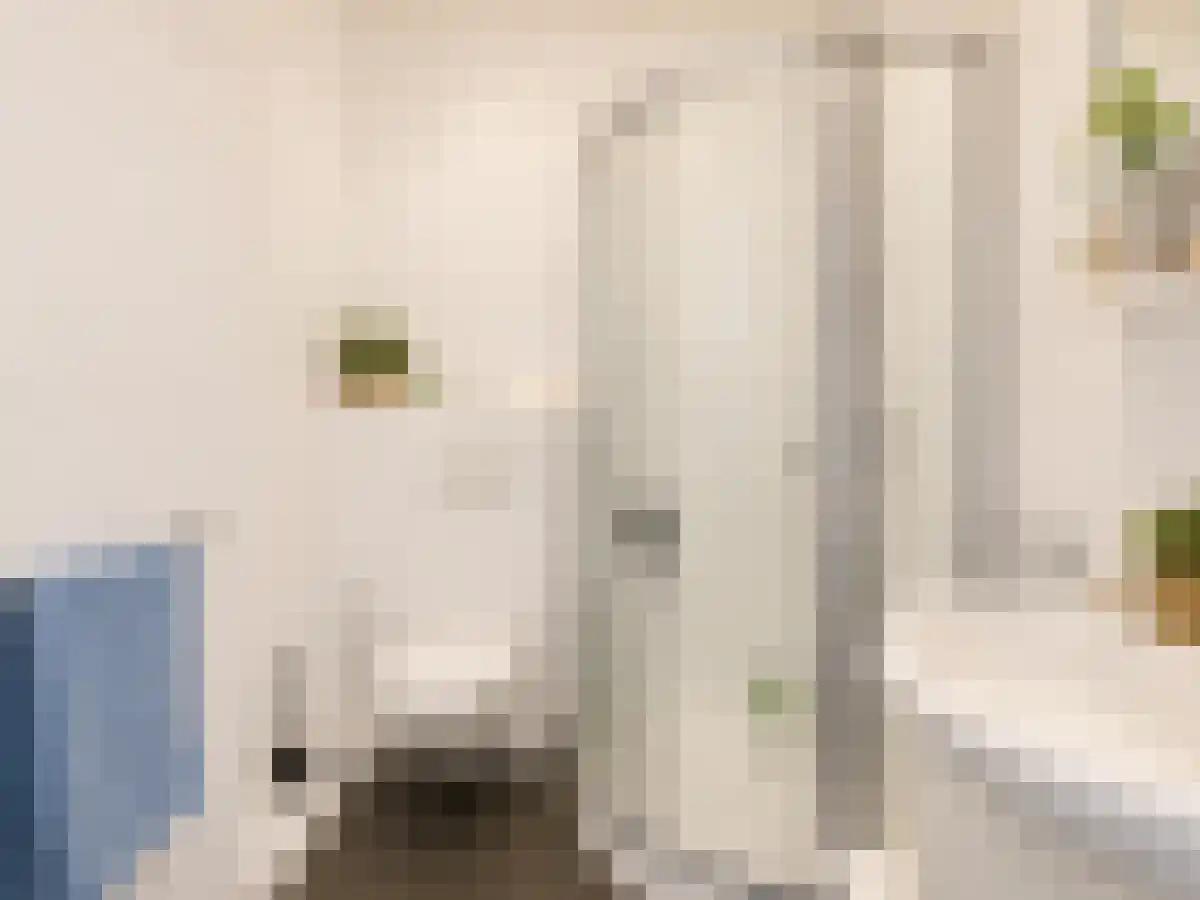 Regentesselaan 183 Den Haag thumbnail 6