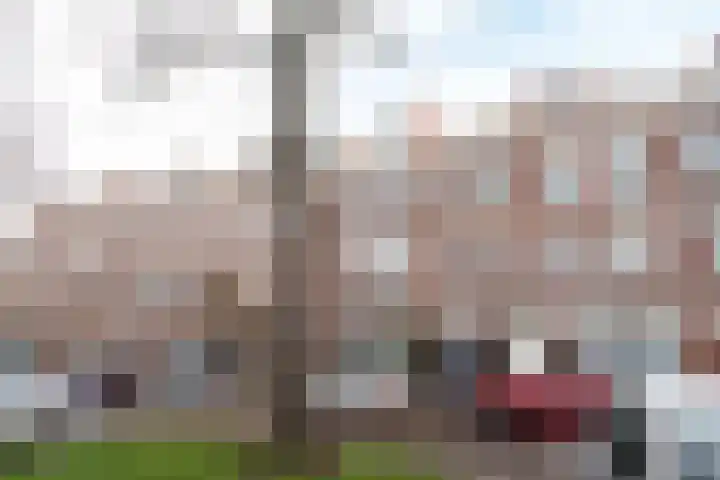 Regentesselaan 184 A Den Haag thumbnail 17
