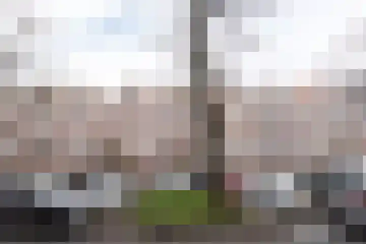 Regentesselaan 184 A Den Haag thumbnail 18