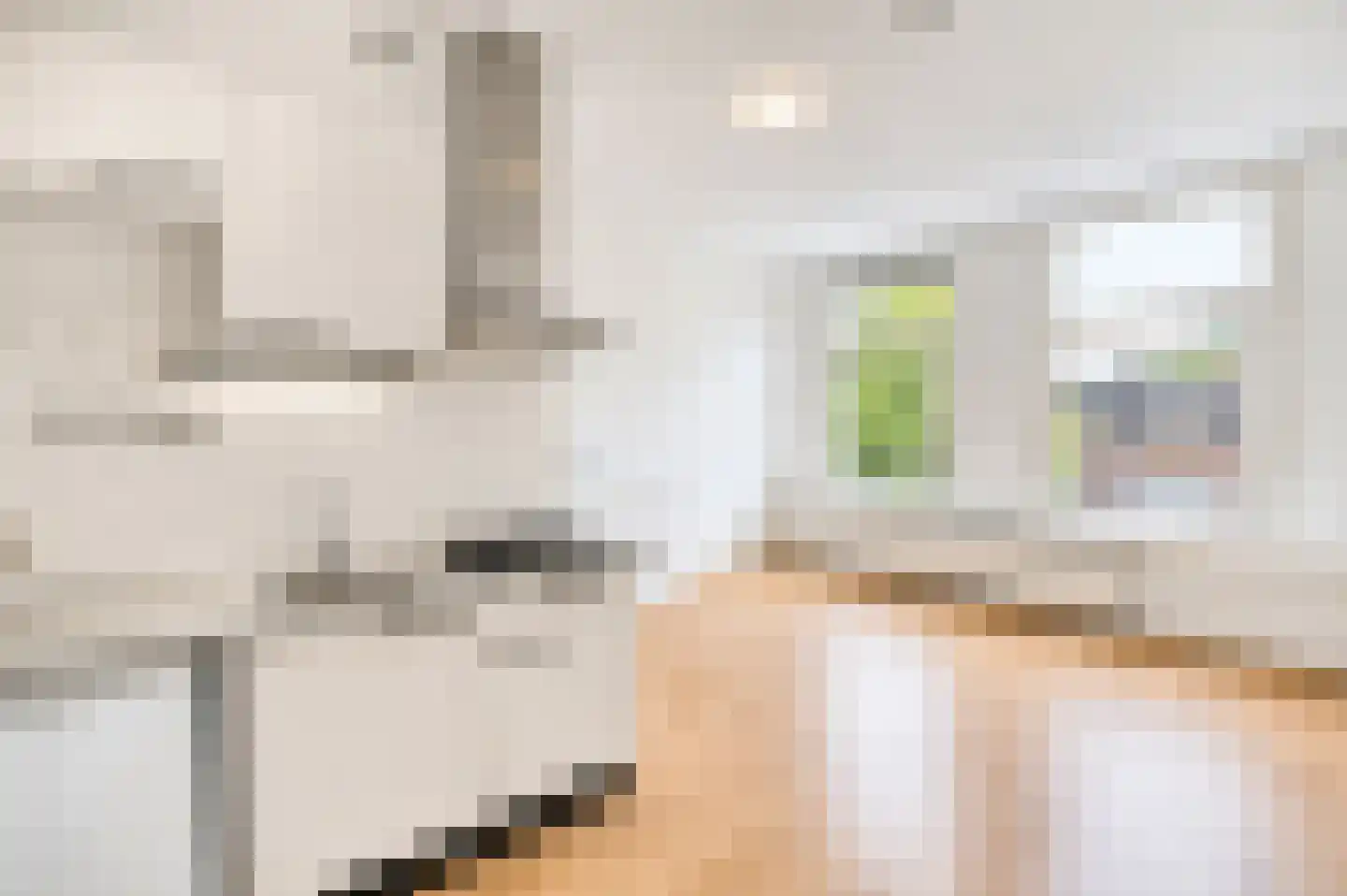 Regentesselaan 186 C Den Haag thumbnail 9