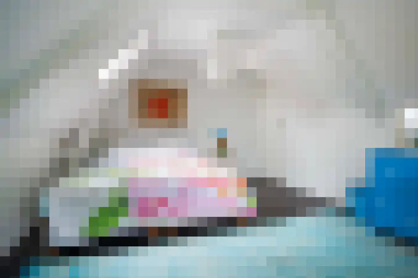 Regentesselaan 19 Apeldoorn thumbnail 28