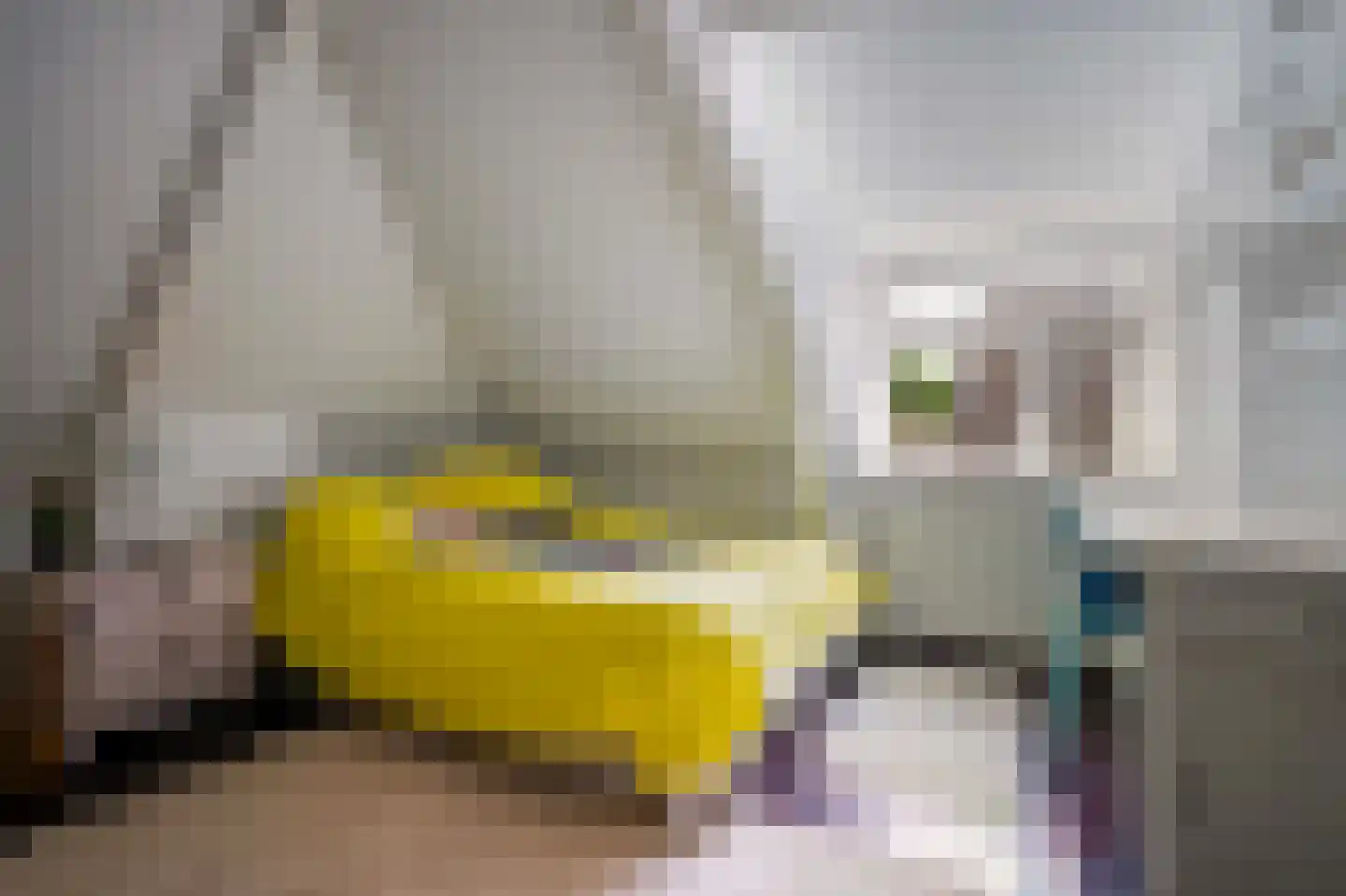 Regentesselaan 19 Apeldoorn thumbnail 37