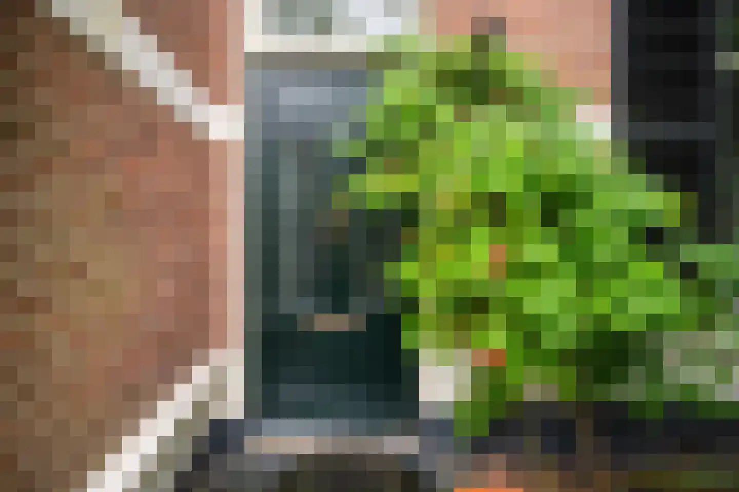 Regentesselaan 19 Apeldoorn thumbnail 4
