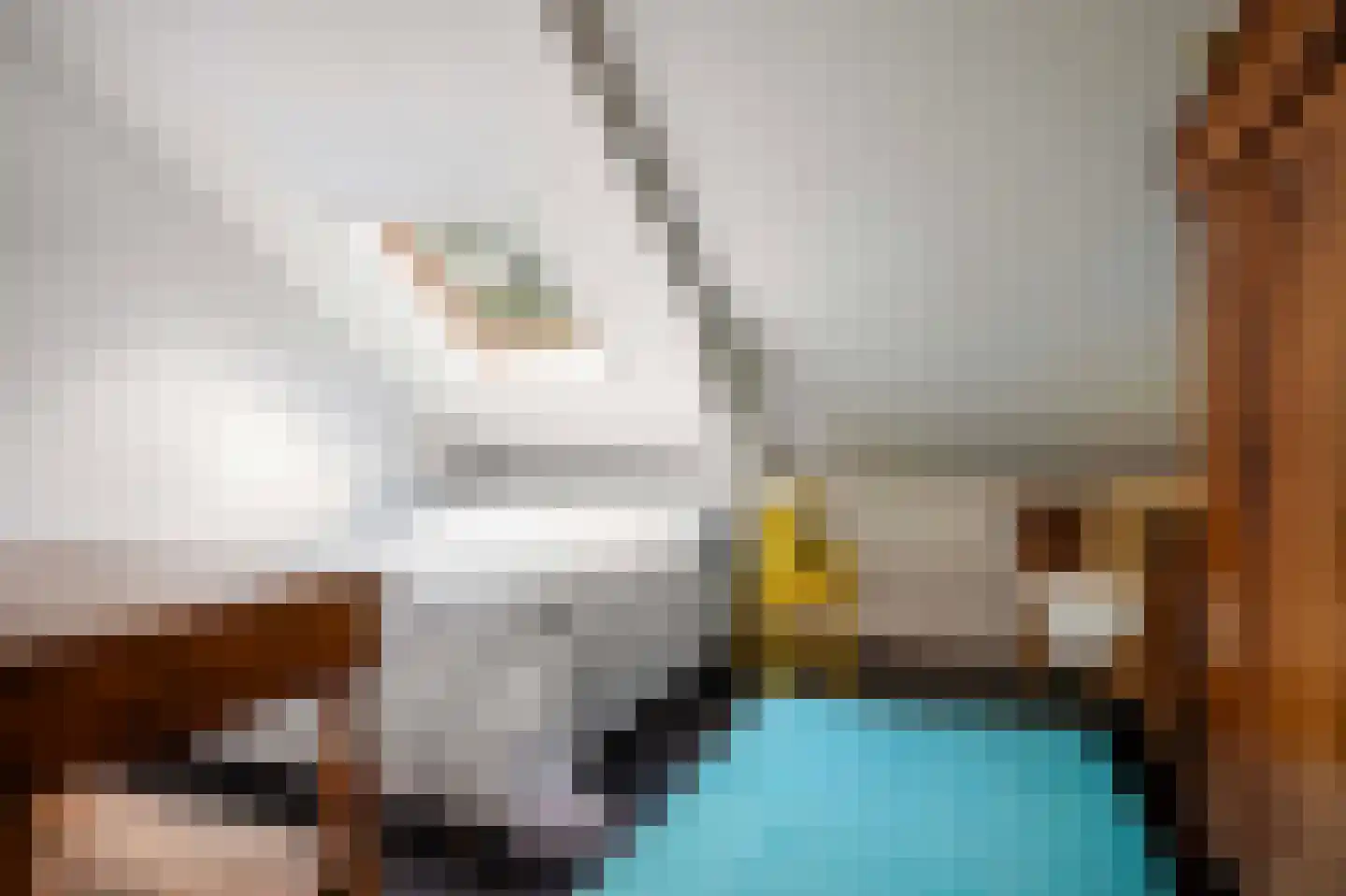 Regentesselaan 19 Apeldoorn thumbnail 40