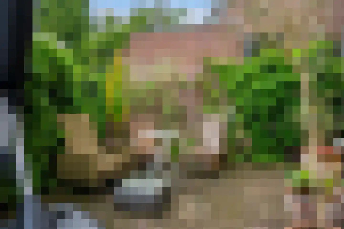 Regentesselaan 19 Apeldoorn thumbnail 40