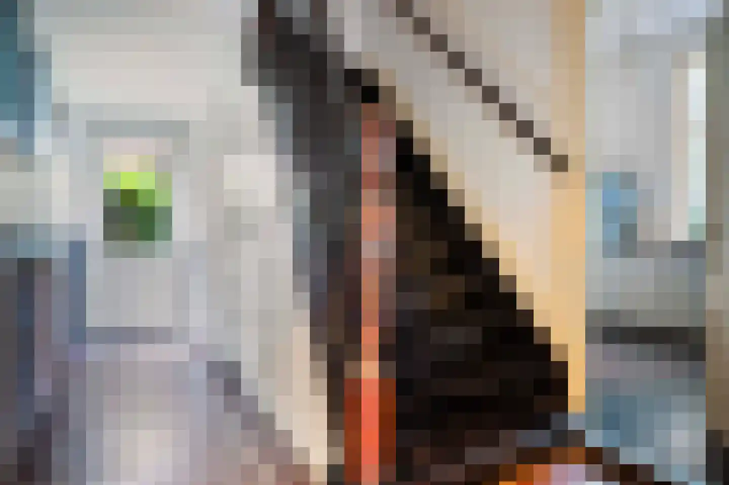 Regentesselaan 19 Apeldoorn thumbnail 7