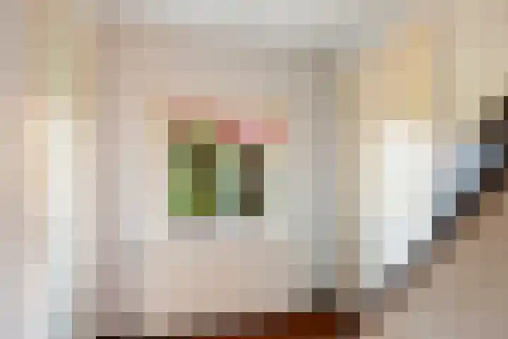 Regentesselaan 19 Soest thumbnail 10