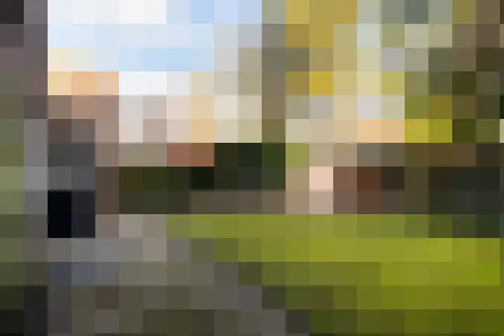 Regentesselaan 19 Soest thumbnail 13