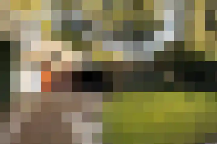 Regentesselaan 19 Soest thumbnail 23