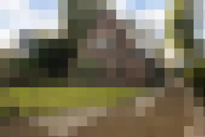 Regentesselaan 19 Soest thumbnail 24