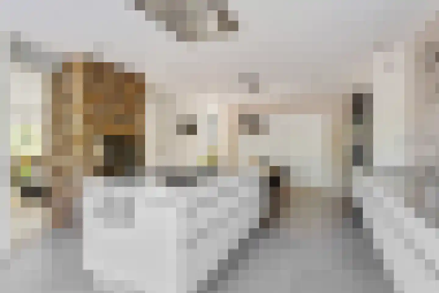 Regentesselaan 2 Vlaardingen thumbnail 31