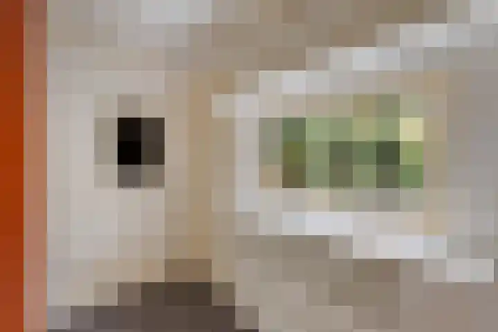 Regentesselaan 21 Bussum thumbnail 21