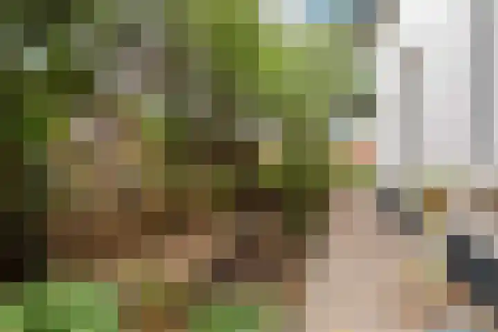Regentesselaan 21 Bussum thumbnail 39