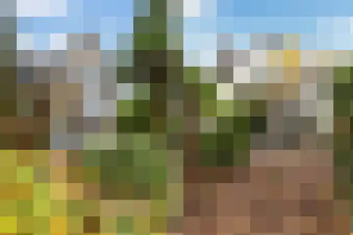 Regentesselaan 21 Bussum thumbnail 4