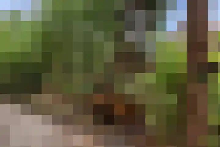 Regentesselaan 21 Bussum thumbnail 40