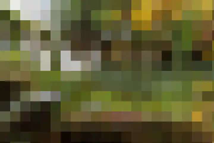 Regentesselaan 21 Bussum thumbnail 41