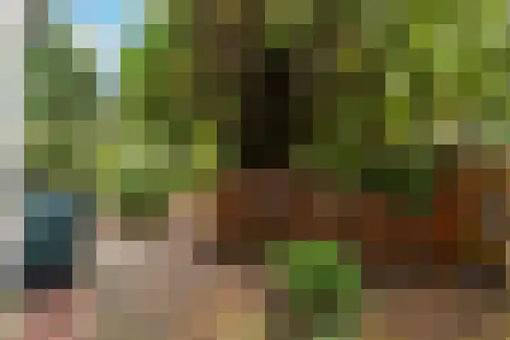 Regentesselaan 21 Bussum thumbnail 42