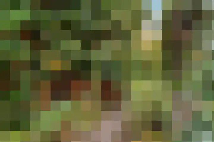 Regentesselaan 21 Bussum thumbnail 44