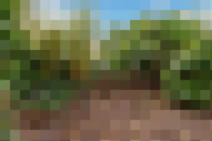 Regentesselaan 21 Bussum thumbnail 46