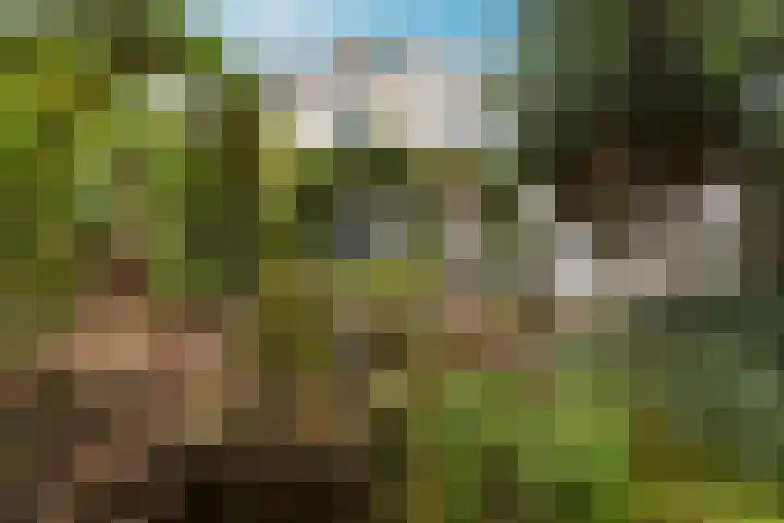 Regentesselaan 21 Bussum thumbnail 48