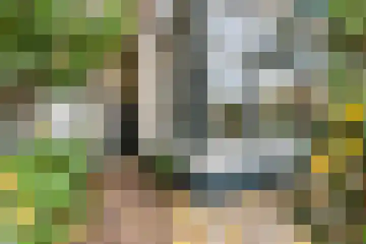 Regentesselaan 21 Bussum thumbnail 5
