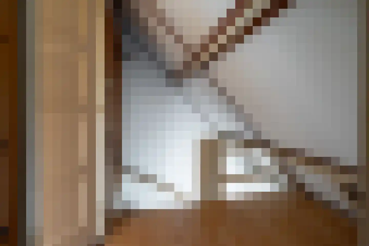 Regentesselaan 21 Zeist thumbnail 27