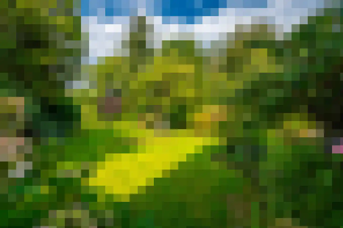 Regentesselaan 21 Zeist thumbnail 35