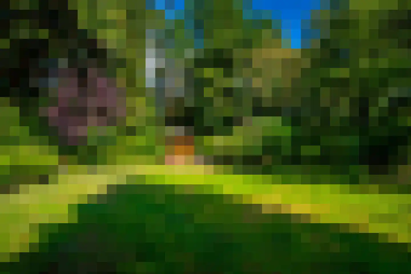 Regentesselaan 21 Zeist thumbnail 36