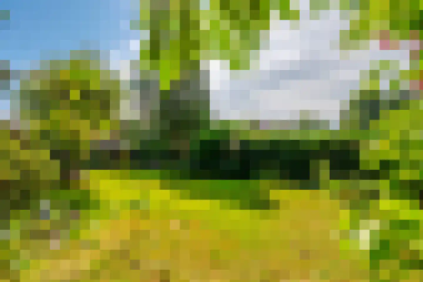 Regentesselaan 21 Zeist thumbnail 37