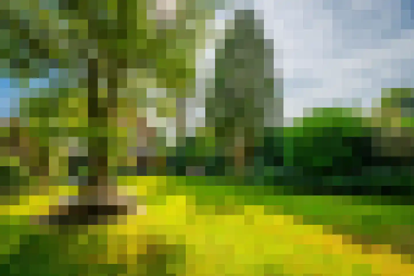 Regentesselaan 21 Zeist thumbnail 38