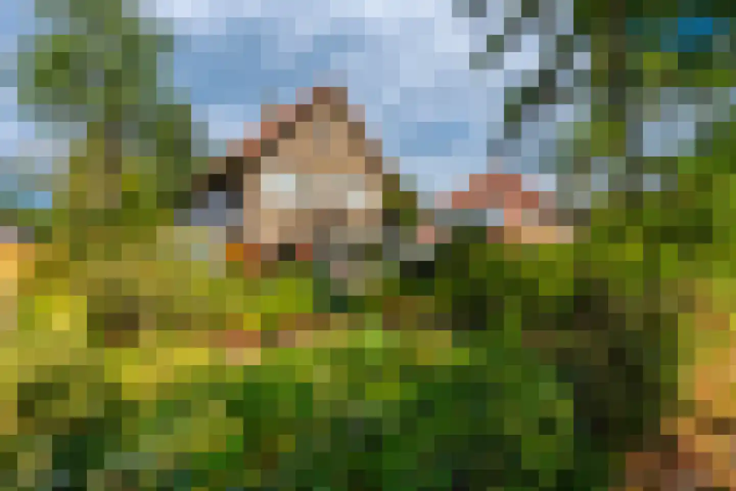 Regentesselaan 21 Zeist thumbnail 4