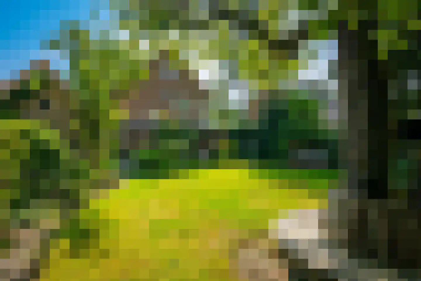 Regentesselaan 21 Zeist thumbnail 40