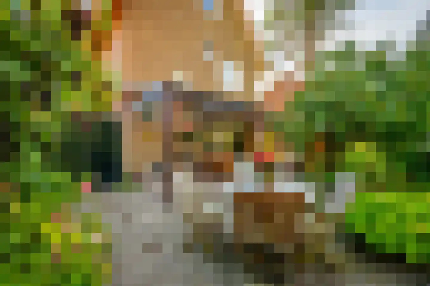 Regentesselaan 21 Zeist thumbnail 42