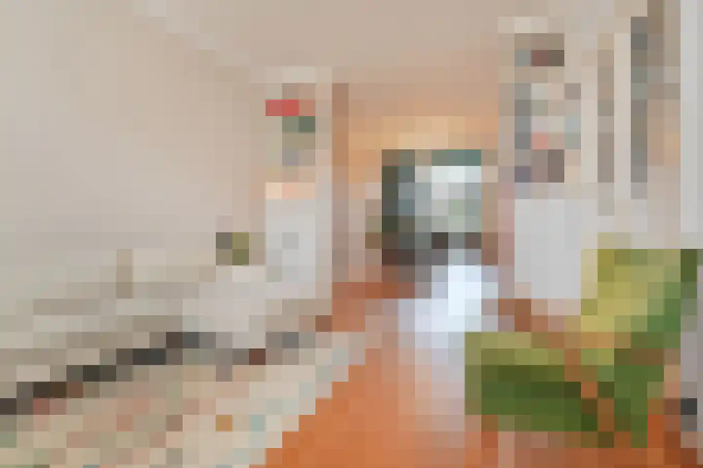 Regentesselaan 210 Den Haag thumbnail 12