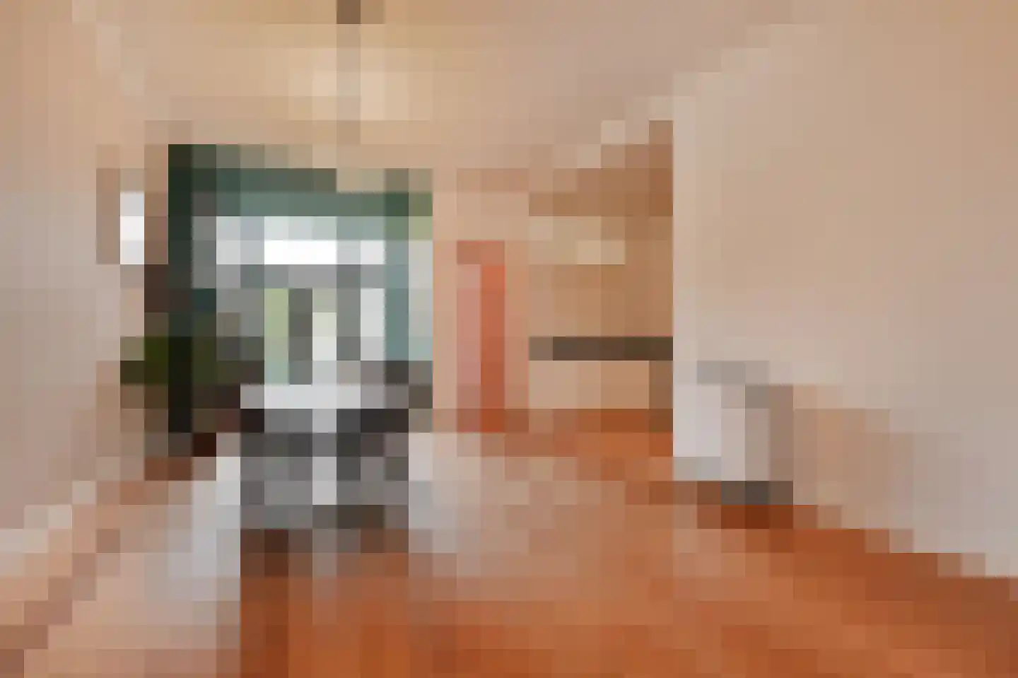 Regentesselaan 210 Den Haag thumbnail 13