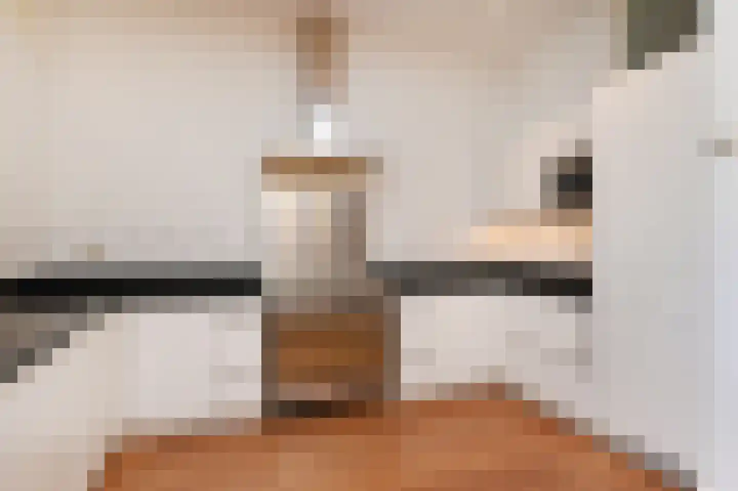 Regentesselaan 210 Den Haag thumbnail 15