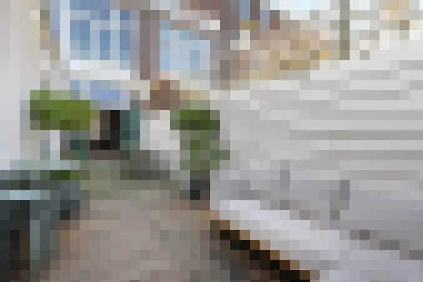 Regentesselaan 210 Den Haag thumbnail 20
