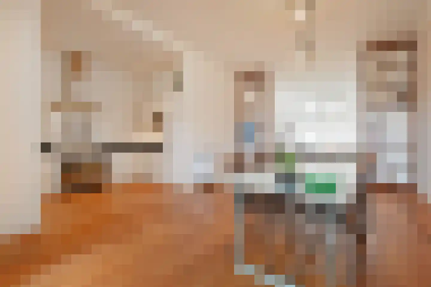 Regentesselaan 210 Den Haag thumbnail 25