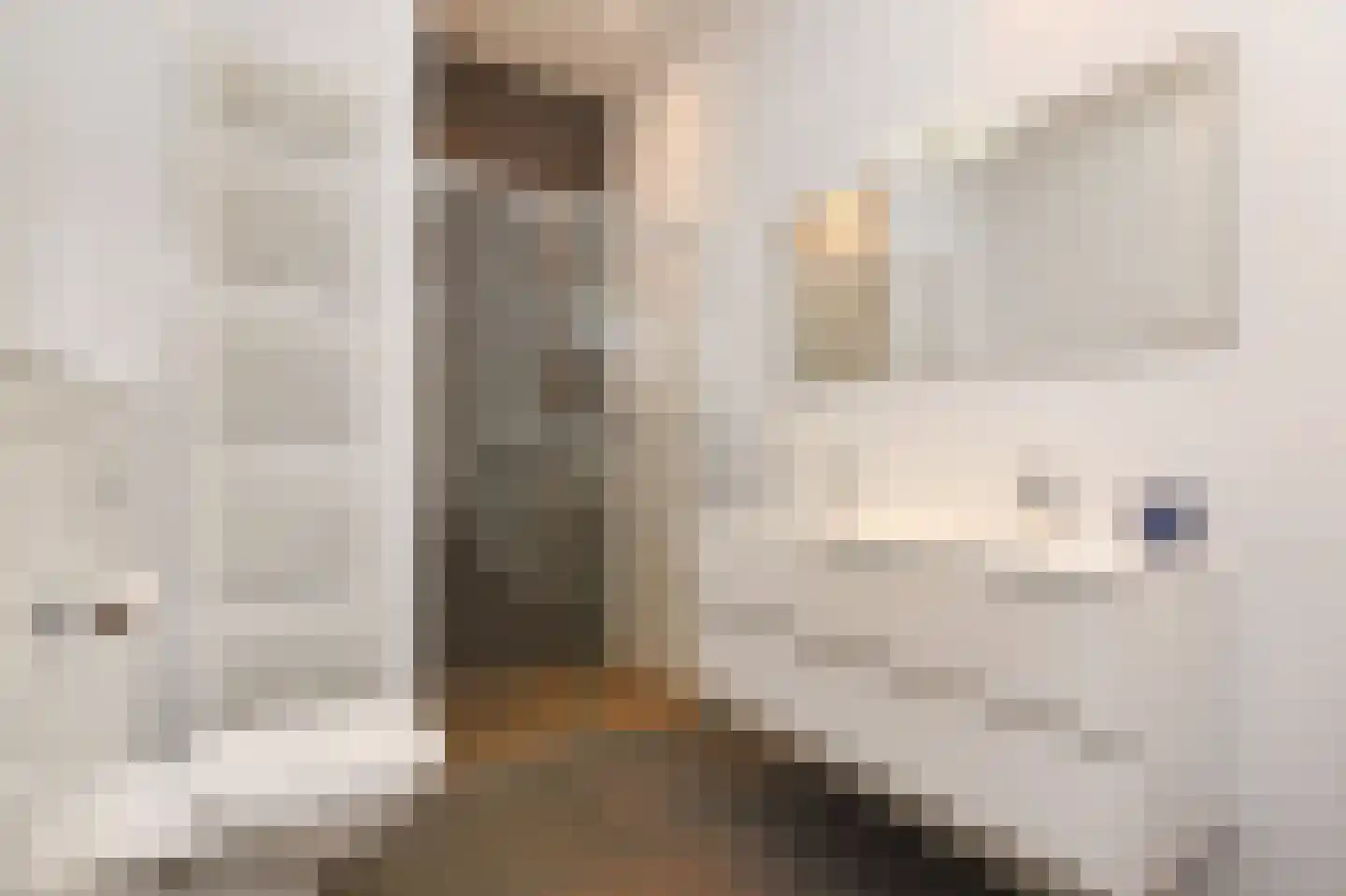 Regentesselaan 210 Den Haag thumbnail 28