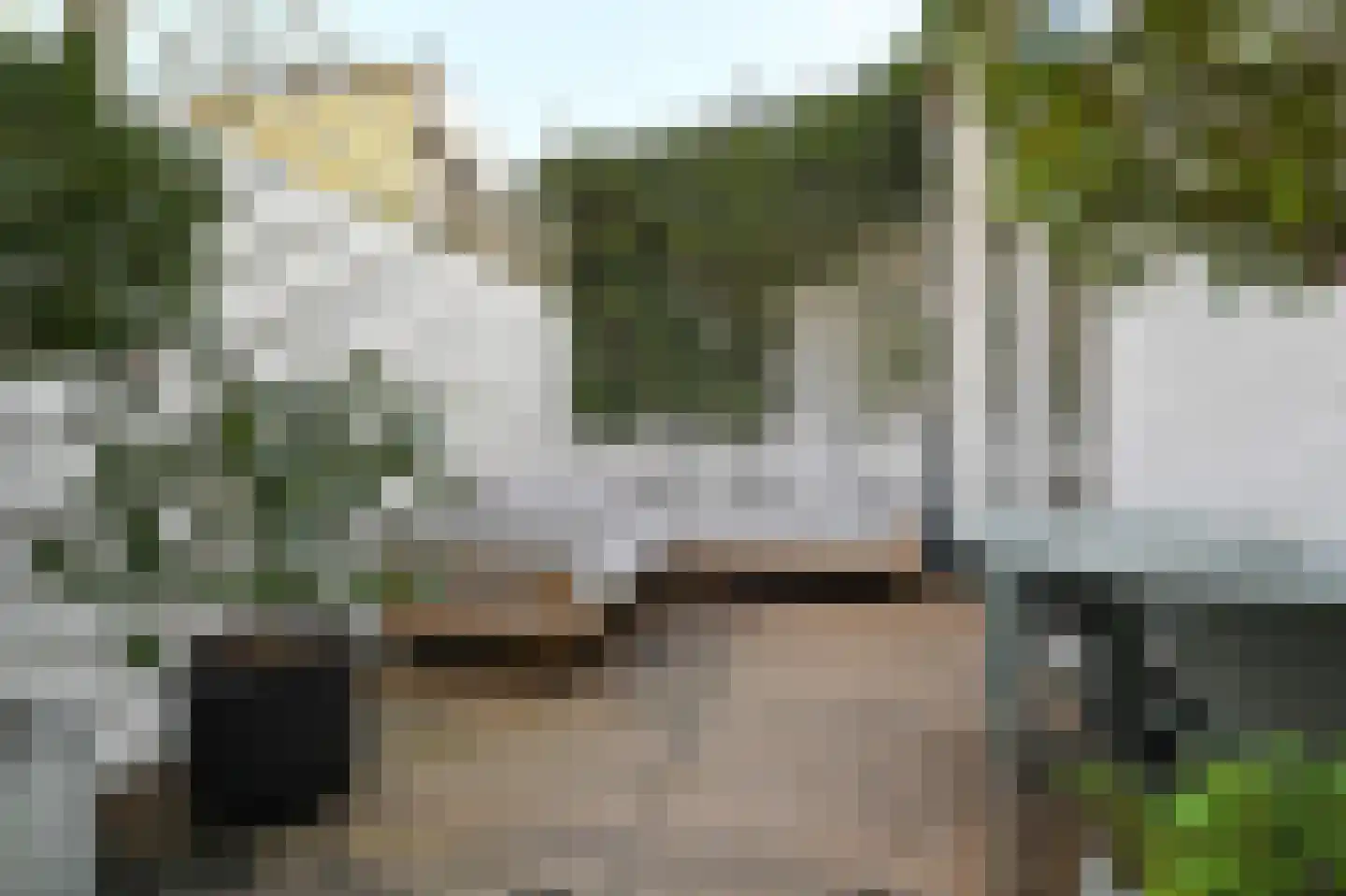 Regentesselaan 210 Den Haag thumbnail 4