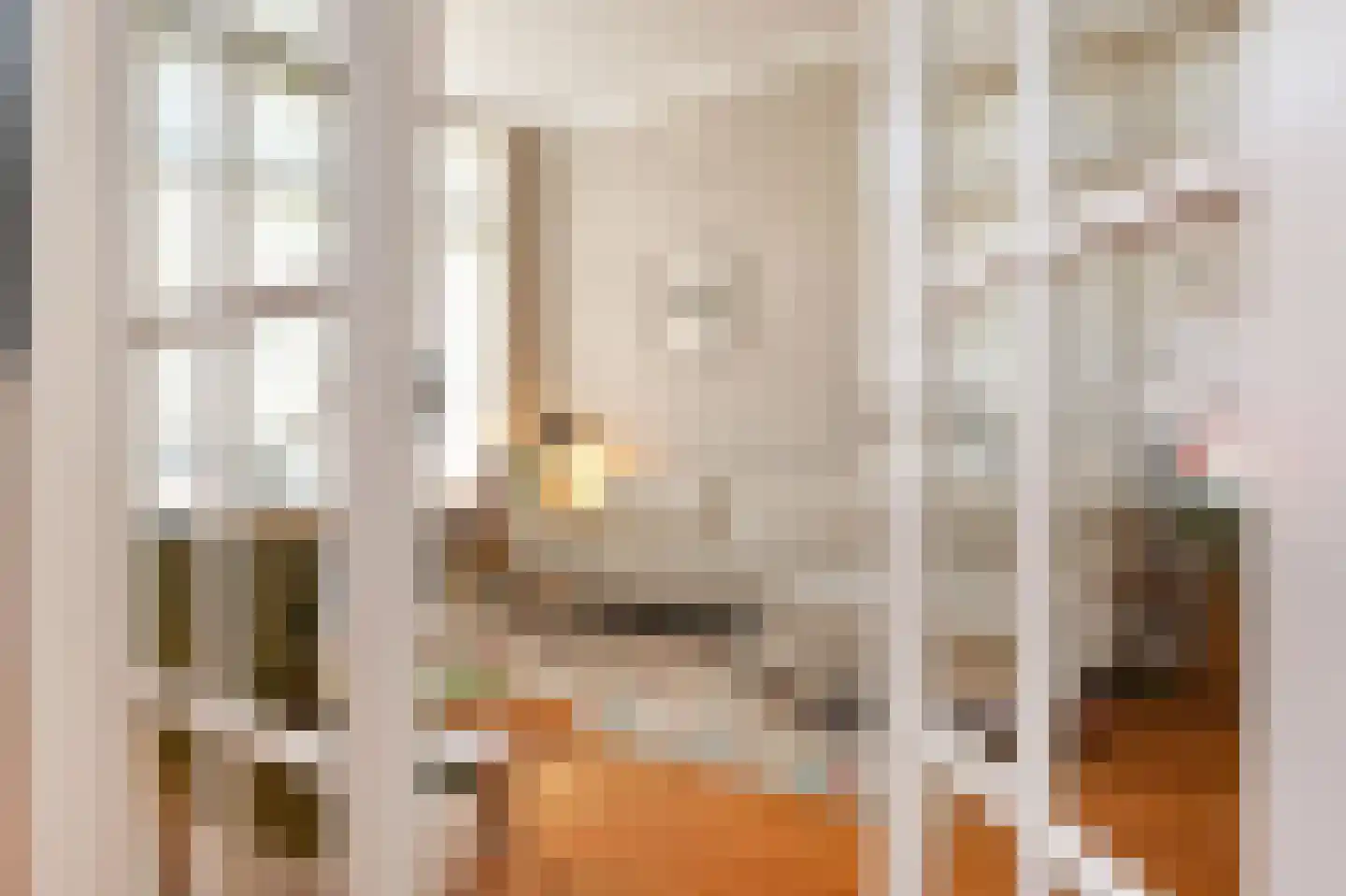 Regentesselaan 210 Den Haag thumbnail 9