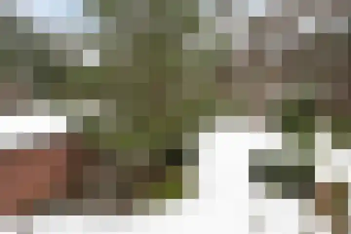 Regentesselaan 22 Zeist thumbnail 29