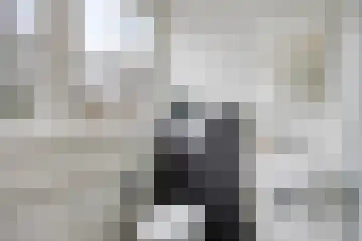 Regentesselaan 22 Zeist thumbnail 41