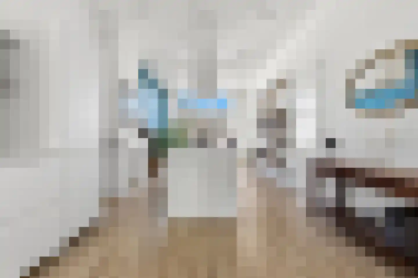 Regentesselaan 248 Den Haag thumbnail 11
