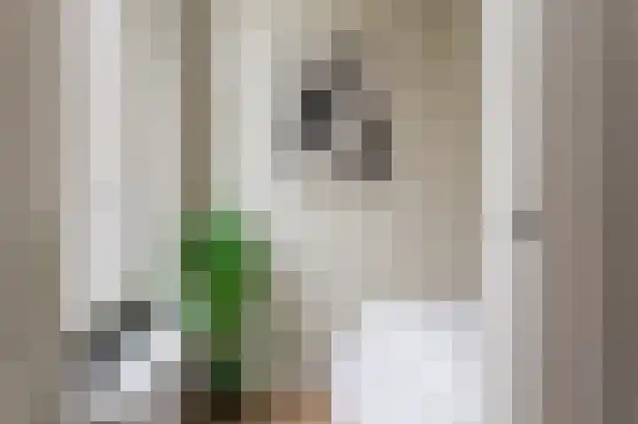 Regentesselaan 255 Den Haag thumbnail 12