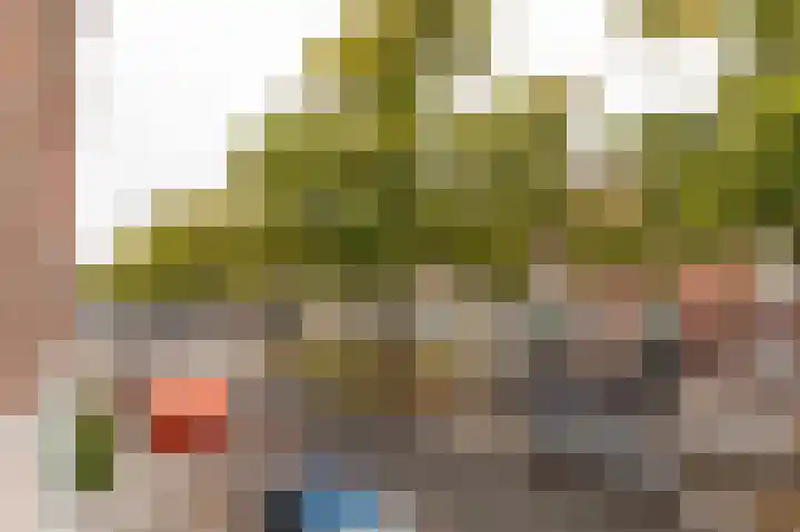 Regentesselaan 255 Den Haag thumbnail 23