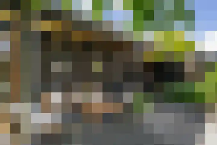 Regentesselaan 26 Weert thumbnail 39
